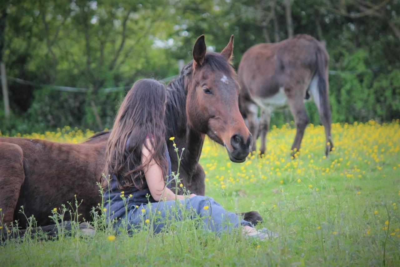 Domaine Des Fees Lägenhet La Gaubretiere Exteriör bild
