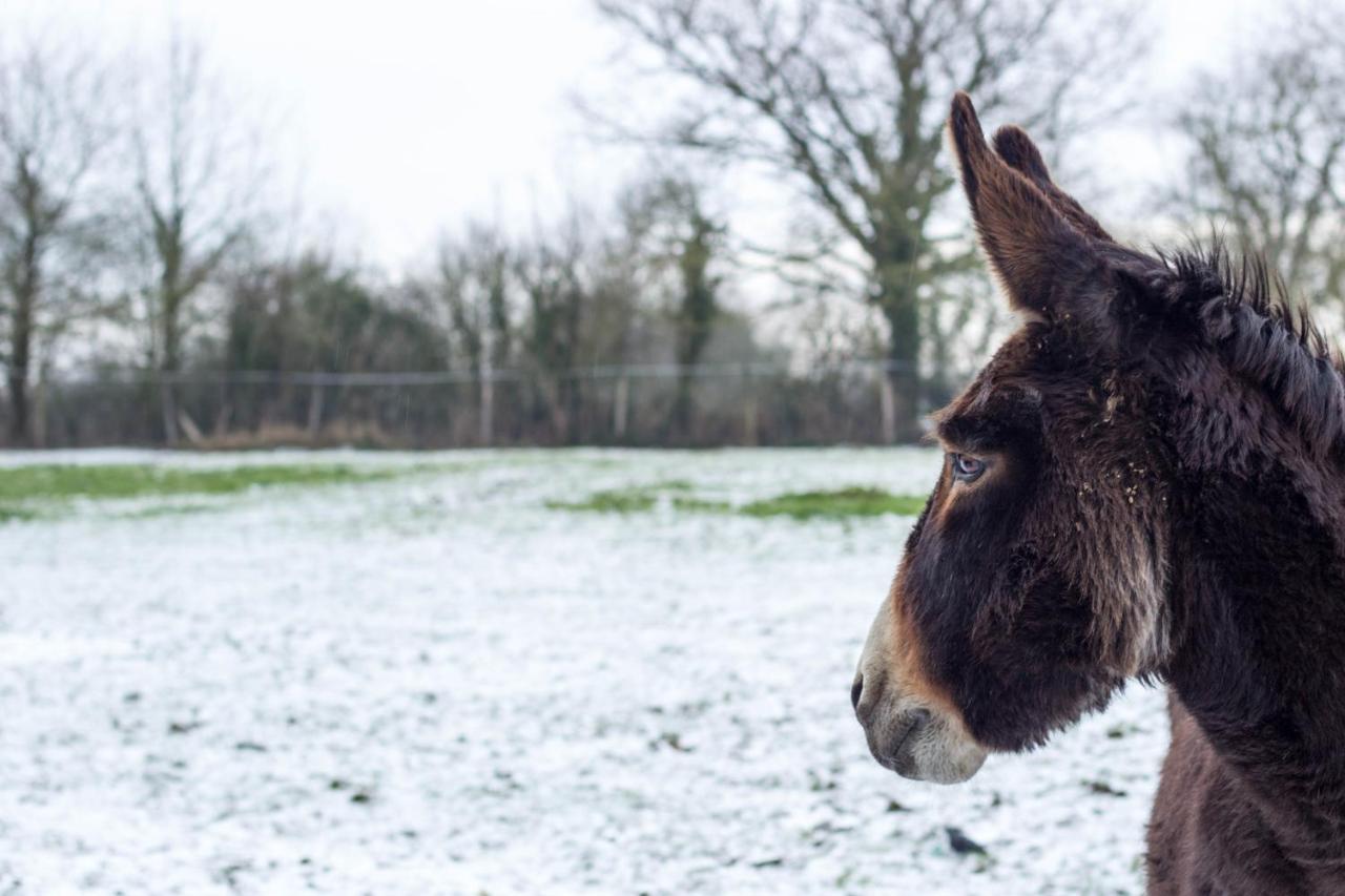 Domaine Des Fees Lägenhet La Gaubretiere Exteriör bild
