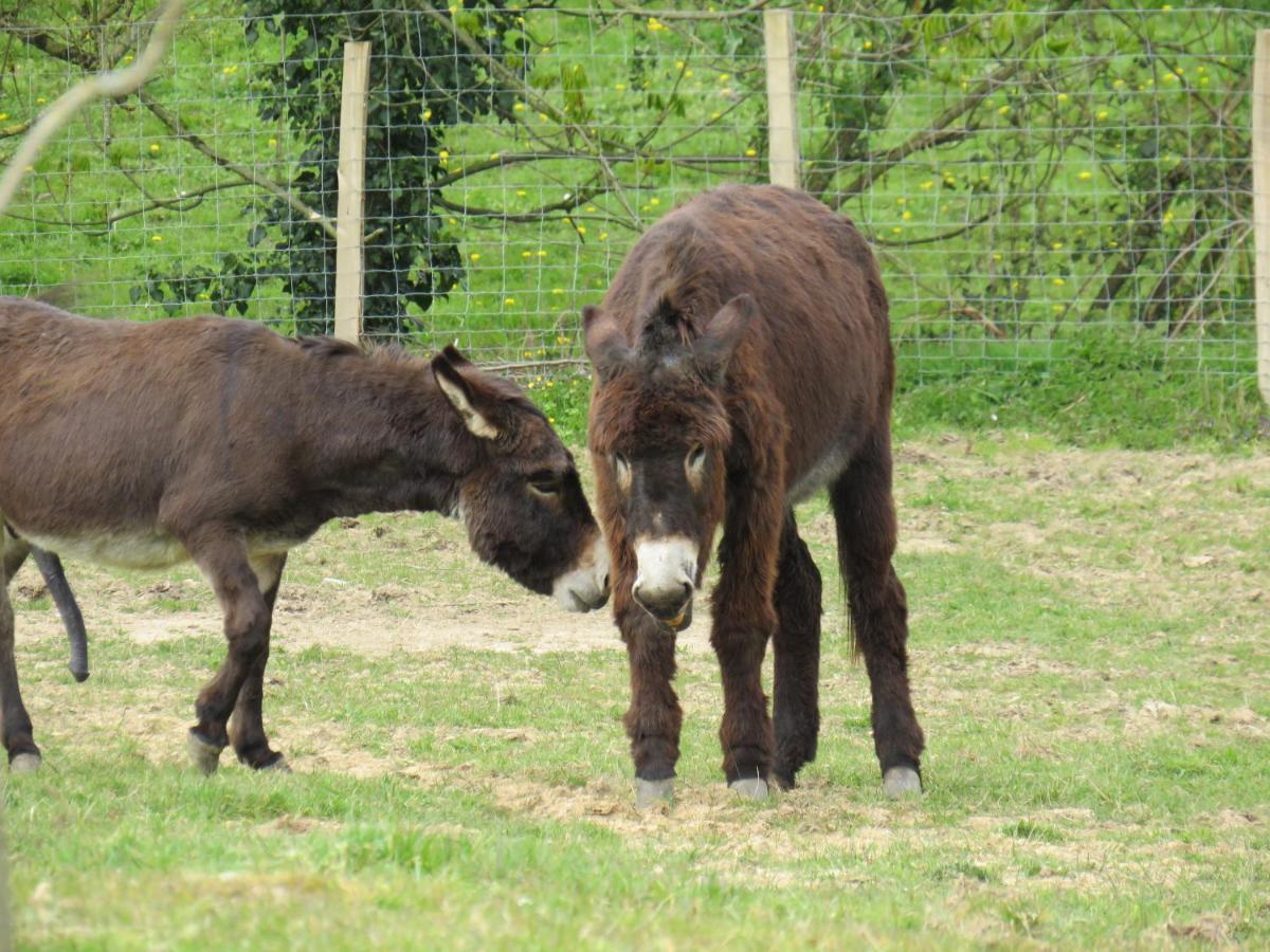 Domaine Des Fees Lägenhet La Gaubretiere Exteriör bild