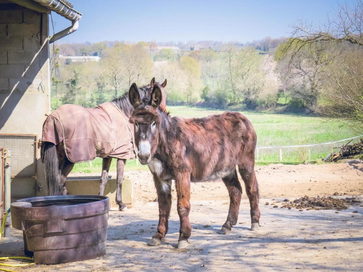 Domaine Des Fees Lägenhet La Gaubretiere Exteriör bild