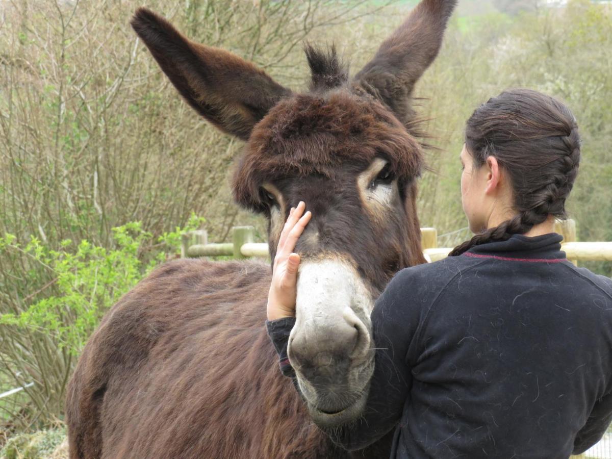 Domaine Des Fees Lägenhet La Gaubretiere Exteriör bild
