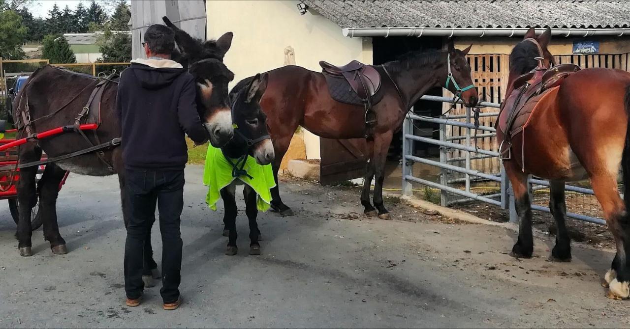 Domaine Des Fees Lägenhet La Gaubretiere Exteriör bild
