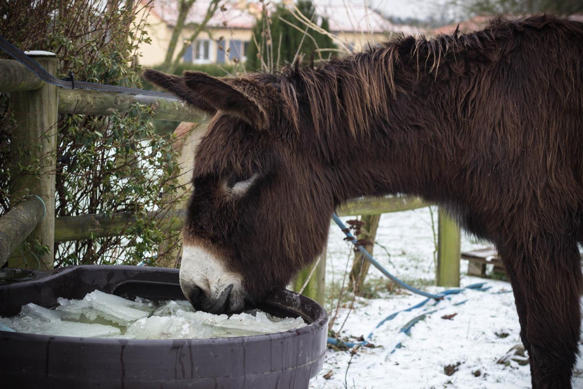 Domaine Des Fees Lägenhet La Gaubretiere Rum bild